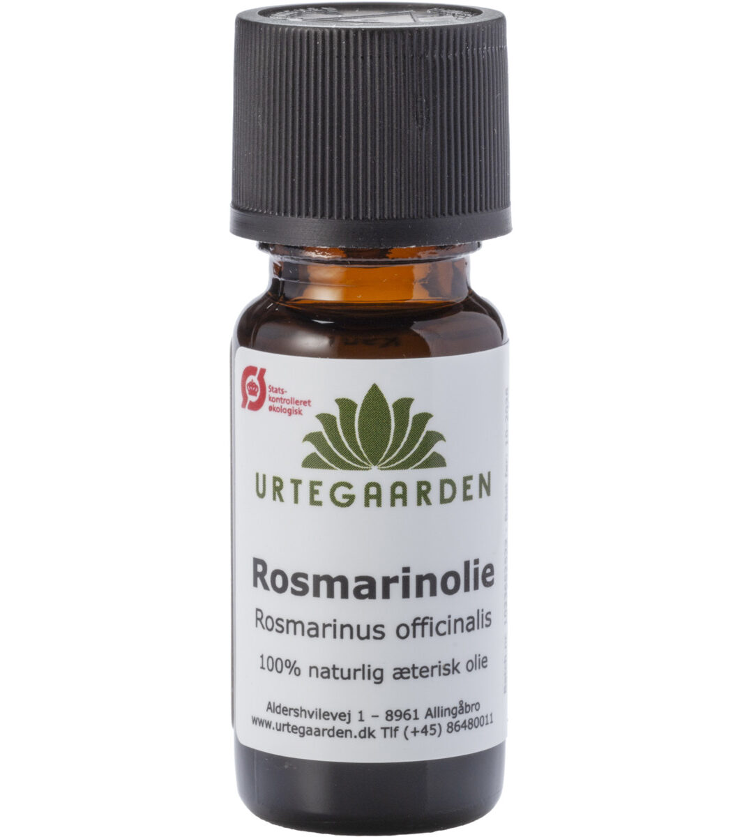 Rosmarinolie ØKO