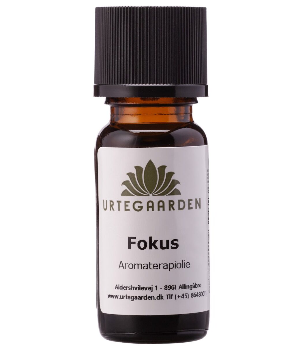 Fokus
