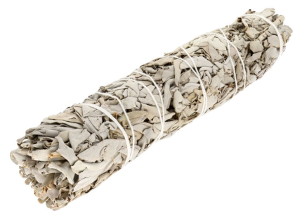 Hvid Salvie - Smudge Stick